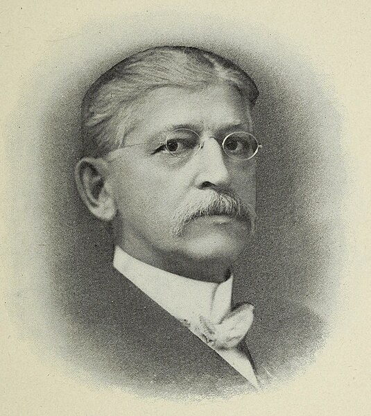 File:Aaron T. Bliss, Governor of Michigan portrait.jpg