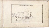 p303 - Unknown contributor - Drawing - Man ploughing with an ox (Caption De tauris narrat arator)