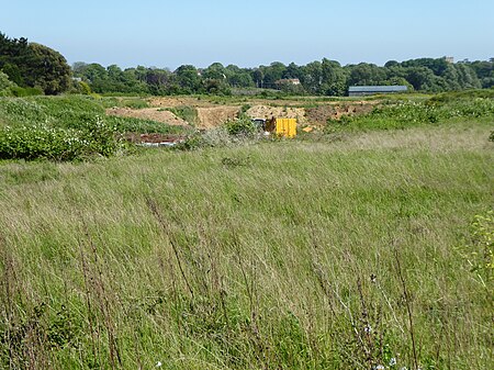 Aldeburgh Brick Pit 7