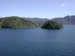 Ostrov Allports v Queen Charlotte Sound.jpg