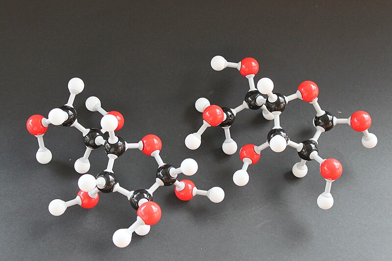 File:Alpha- AND Beta--D-Idofuranose Molekülbaukasten 9248.JPG