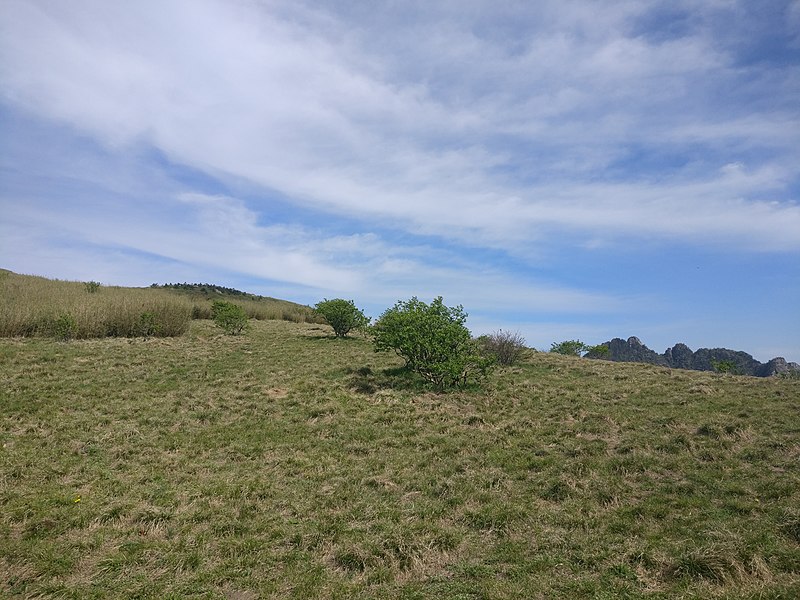 File:Alpine meadow on Qinling Mountains.jpg