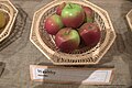 سیب ولثی در نمایشگاه