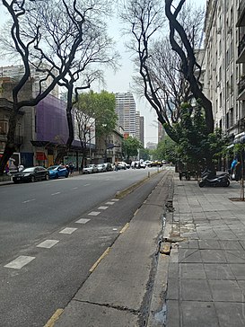 Avenida Coronel Díaz.jpg