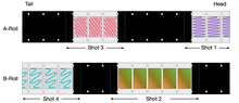 Layout with 4 shots. B-Roll with 4 shots.png