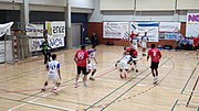 Miniatura para División de Honor Plata de balonmano 2019-20