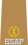 BSAP Assistant Commissioner insignia.svg