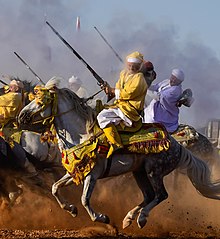 Barb Horse tbourida Morocco.jpg