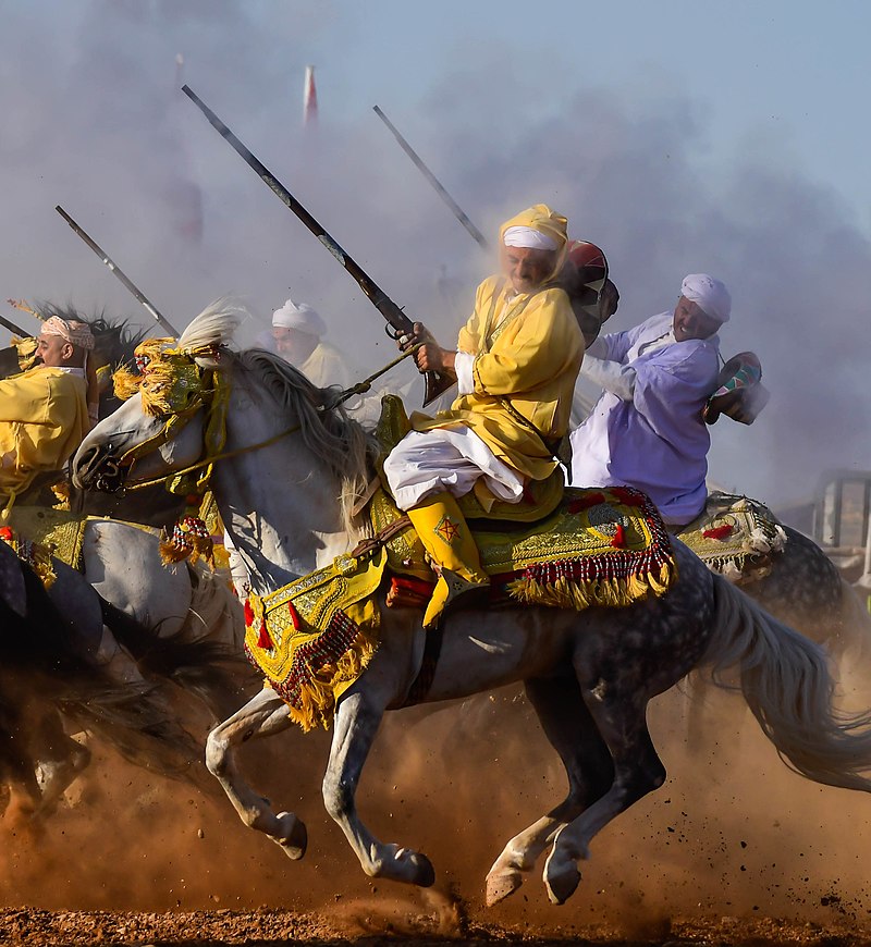 800px-Barb_Horse_tbourida_Morocco