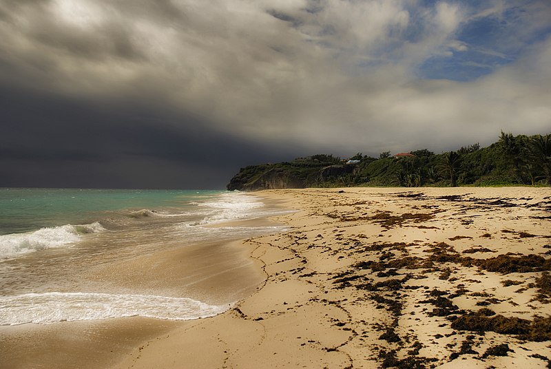 File:Barbados beach (6893616146).jpg