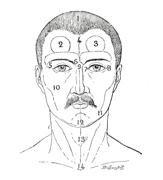 File:Bertillon - Identification anthropométrique (1893) 358 n&b.png