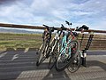 Bikes resting at Baylands Park, Sunnyvale.jpg