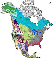 Biomes of North America - CURRENT (Rehfeldt et al. 2012) Biomes of North America (Rehfeldt et al. 2012) - CURRENT 01.jpg
