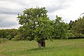 Vorschaubild der Version vom 20:12, 21. Mai 2019