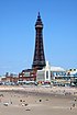 Blackpool Tower umum view.jpg