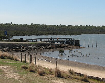 How to get to Blind Bight with public transport- About the place