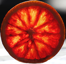 Here seen sliced in half, an art historian suggests that whole blood oranges could be the imagery in the Medici coats of arms Blood Orange 2.jpg
