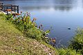 Boardwalk end at Lake Anhinga