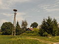 wikimedia_commons=File:Bocianie gniazdo Cewków 98.JPG