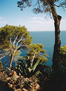 Jardí Botànic de Cap Roig