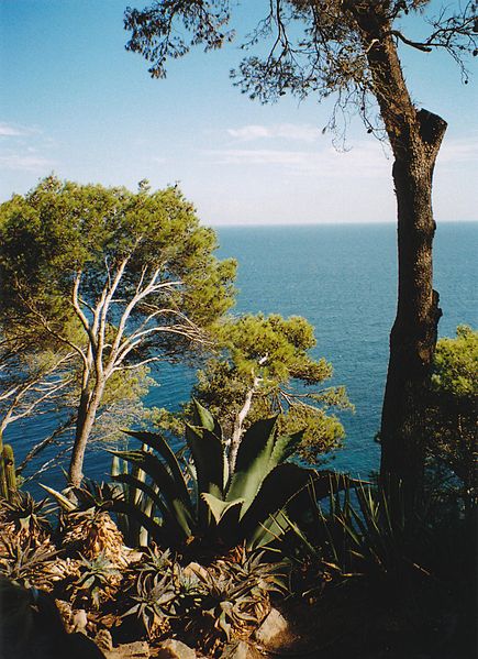 File:Botanischer Garten Cap Roig.jpg