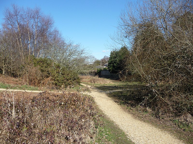 File:Bournemouth , Fernheath Valley and Footpath - geograph.org.uk - 1746254.jpg