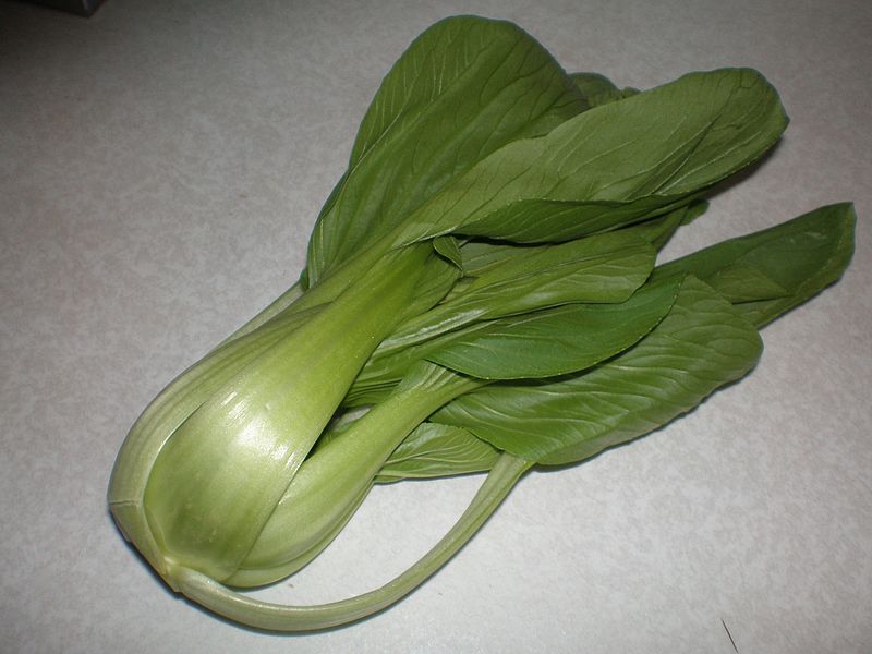 File:Brassica rapa var. chinensis (leaf).jpg