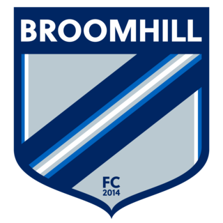 <span class="mw-page-title-main">Broomhill F.C. (Scotland)</span> Association football club in Glasgow City, Scotland, UK