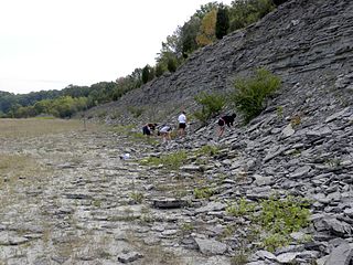 Bull Fork Formation Geologic formation in Ohio and Kentucky, United States