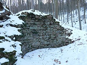 Image illustrative de l’article Château fort de Tannenfels