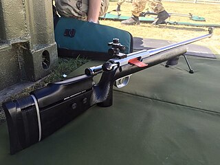 <span class="mw-page-title-main">RPA C12A1</span> Target rifle