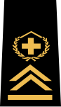 Militära Grader I Schweiz: Soldater, Underofficerare, Högre underofficerare