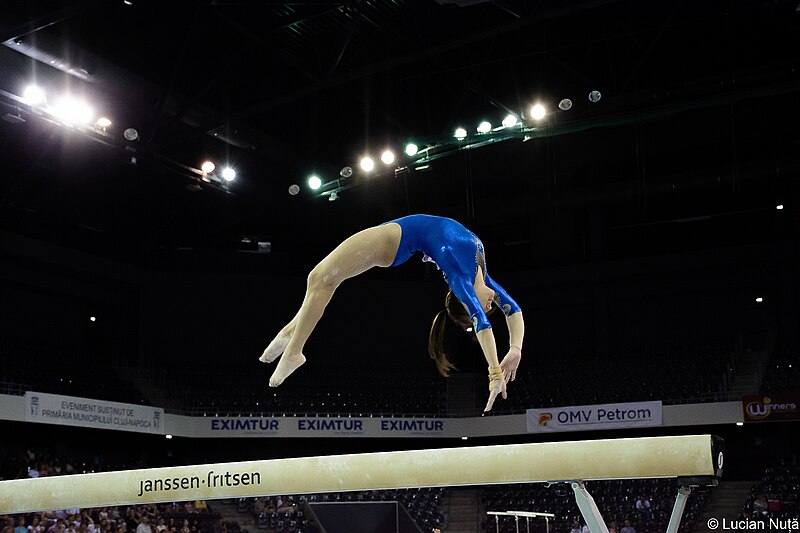 File:Campionatul National de Gimnastica (1-3 iulie 2016) (28152967176).jpg