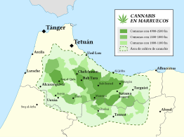 Cannabis production in Morocco