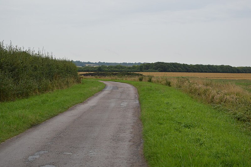 File:Cantelupe Rd - geograph.org.uk - 5972205.jpg