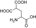 Ácido carboxiglutámico. O ácido glutámico posúe un grupo γ-carboxilo, e o ácido carboxiglutámico posúe dous.