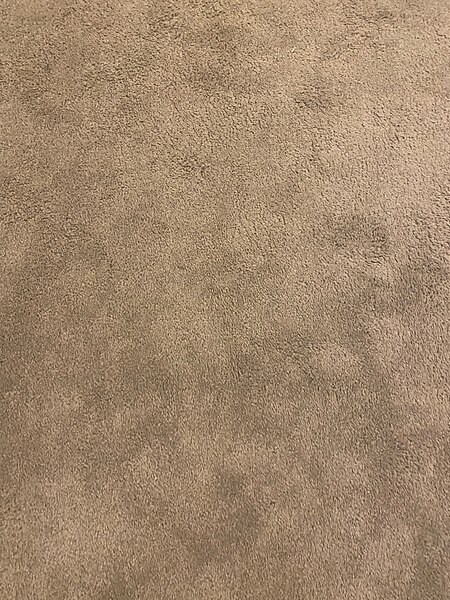 File:Carpet.jpg