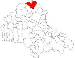 Cața - Carte