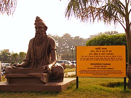 Charak statue.jpg