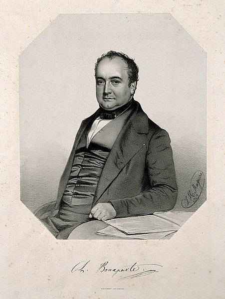 File:Charles Lucien Jules Laurent Bonaparte, Prince di Canino. Li Wellcome V0006453.jpg