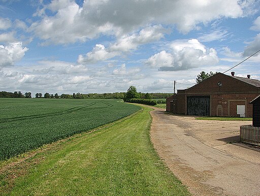 Cockayne Hatley, near Home Farm - geograph.org.uk - 3967095