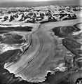 Columbia Glacier, Calving Terminus with Oblique View of Valley Glacier, August 26, 1963 (GLACIERS 1005).jpg