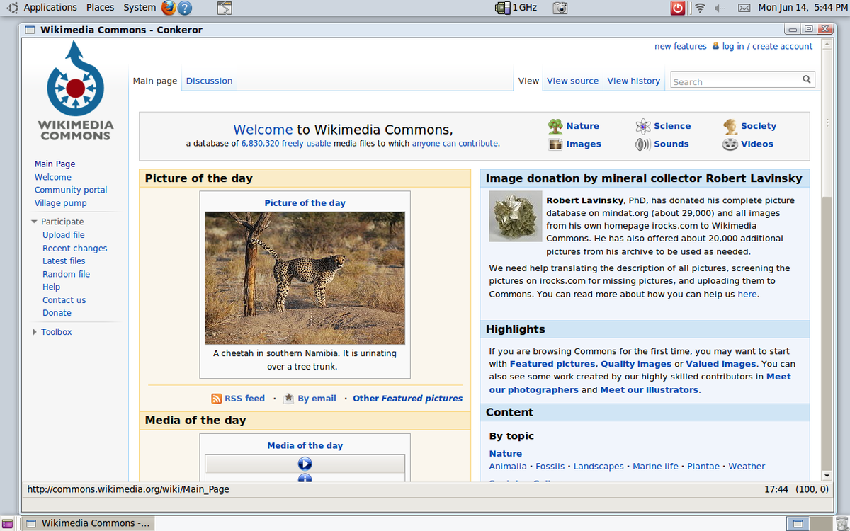 Conkeror Wikipedia