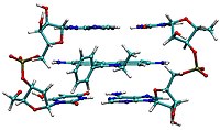 Ethidium bromide intercalated between two adenine-thymine base pairs. The intercalation is said by some
to motivate a high mutagenicity of DNA. DNA intercalation2.jpg