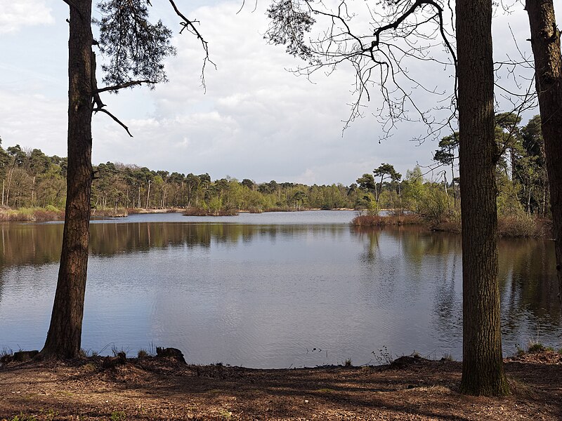 File:De Kampina (33955004506).jpg