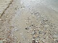 湖岸の砂礫。鋭くとがった石が多い。