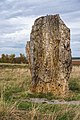 image=https://commons.wikimedia.org/wiki/File:Derenburg_Menhir.jpg