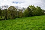 Vorschaubild für Landschaftsschutzgebiet Retlager Bach