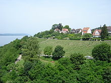 Weinberg, vom Alten Schloss aus gesehen.