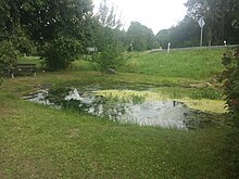 Dittwar Biotop Teich am Ortseingang von 1969 und 1989.jpg